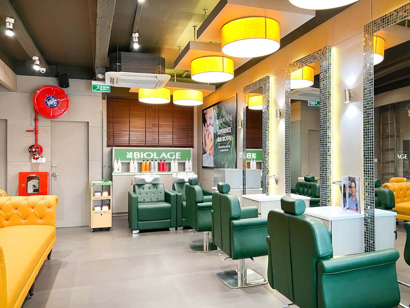 HEAD HONCHOS SALON photo 3